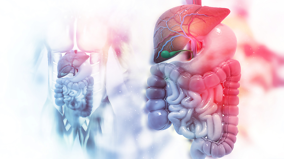 Conference " Issues of cancer prevention in the practice of a gastroenterologist and therapist"