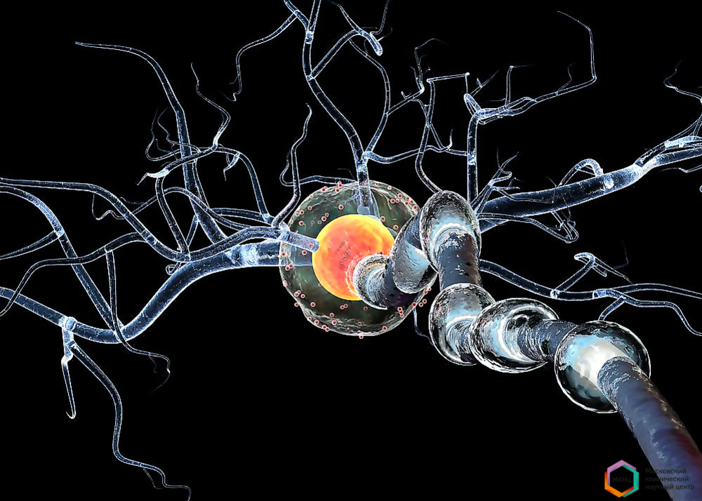 Болезнь Паркинсона