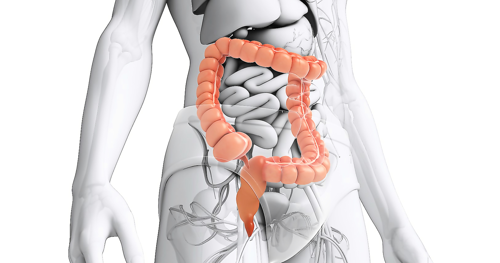 Conference &#34;Practical aspects of colorectal cancer treatment&#34;