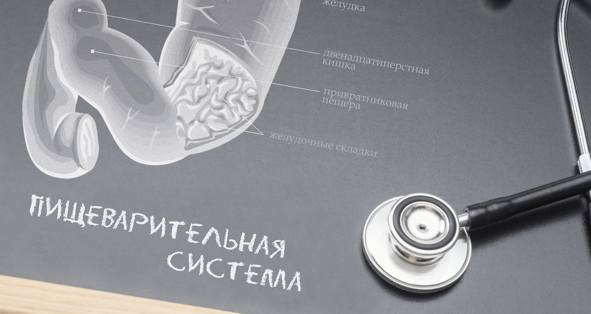 Conference "Complex issues of differential diagnosis and treatment of diseases of the esophagus and stomach"