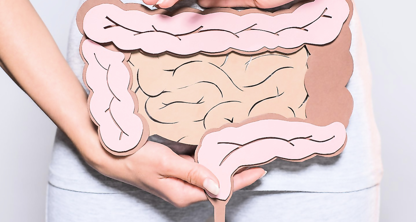 Conference "Intestinal diseases: a modern view on pathogenesis and etiopathogenetic therapy"