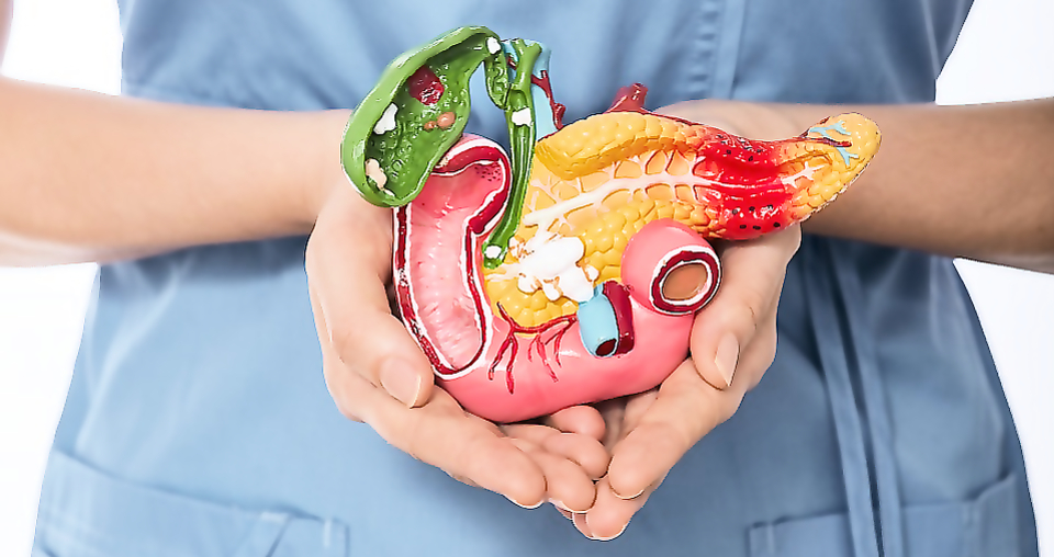 Conference "Difficulties of diagnosis and treatment of diseases of the pancreas and biliary system"