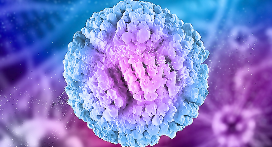 Conference "Innovations in Oncology, main directions"