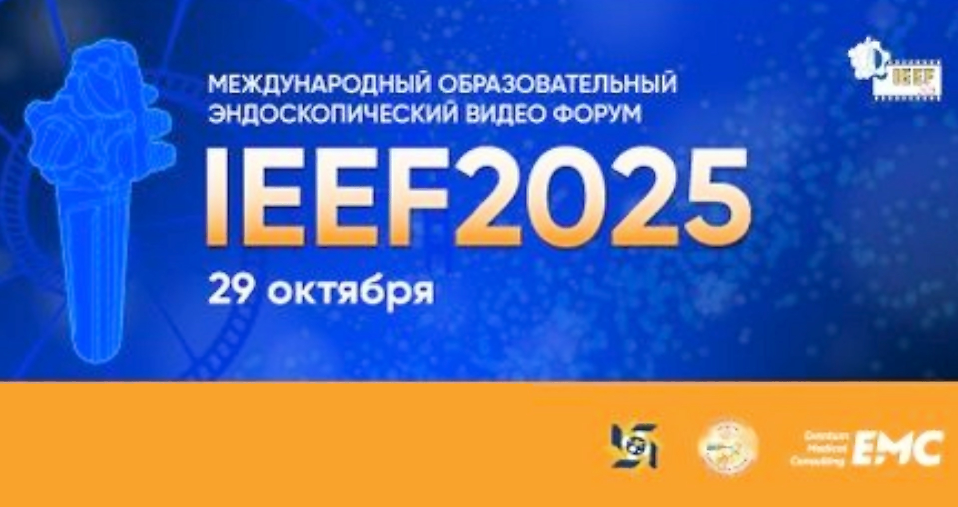 PRE-COURSE IEEF 2025