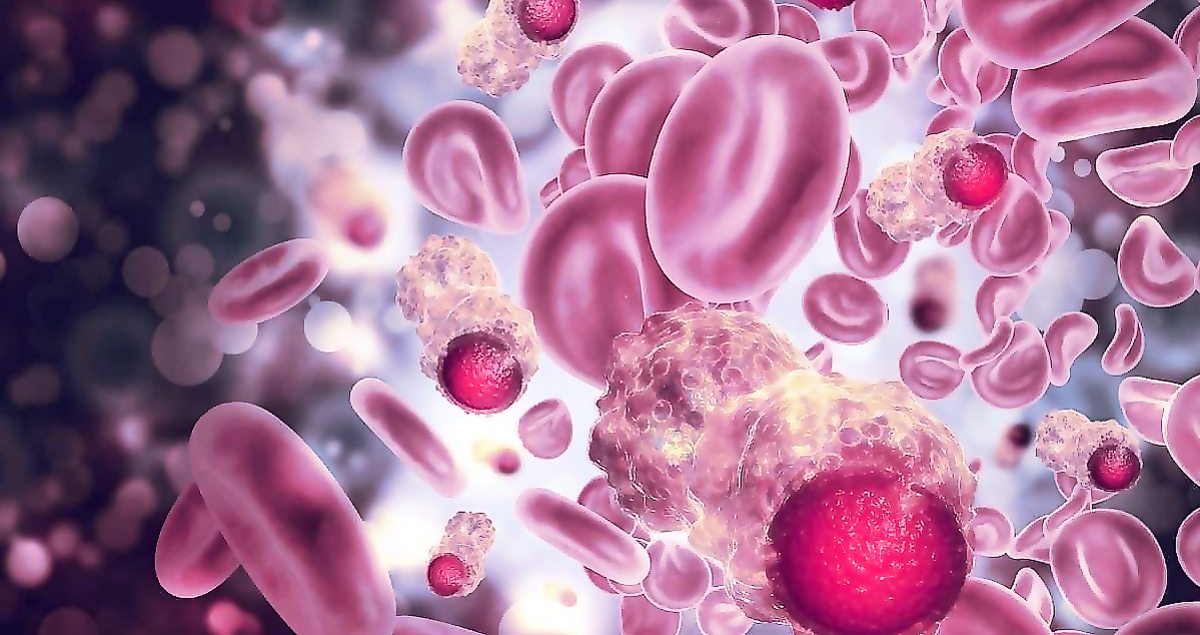 Conference with international participation "Modern possibilities of diagnosis and therapy of hemoblastosis"