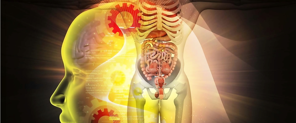 Conference “Functional pathology of the digestive system from the gastroenterologist and neurologist point of view”