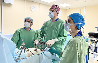 Bariatric surgery. Who...