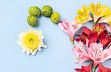 Endometriosis: what is...